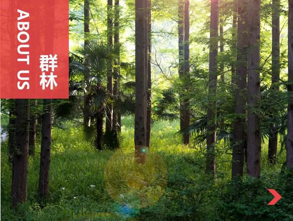 什么叫刨花板？